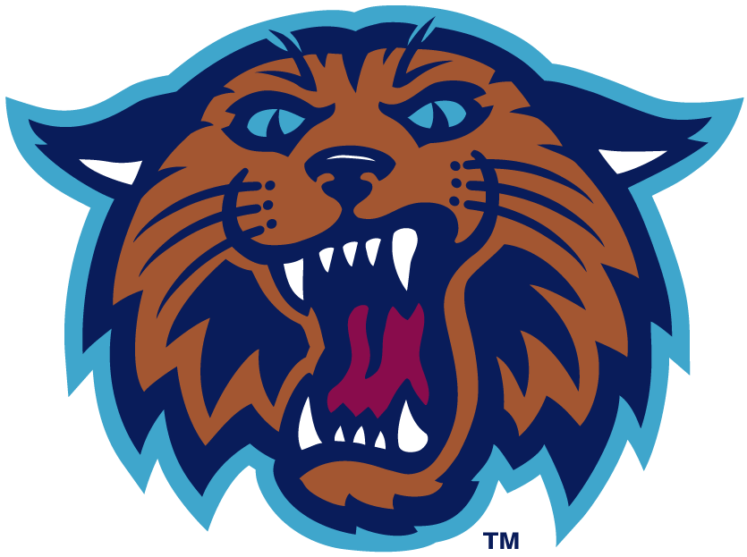 Villanova Wildcats 1996-2003 Alternate Logo v2 iron on transfers for fabric